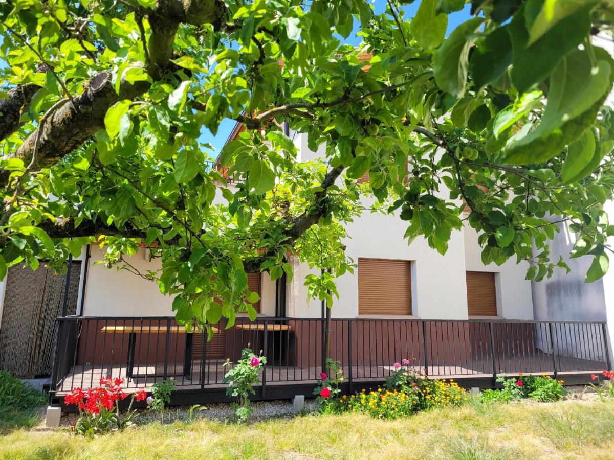 Casa Julio, Bonita Casa Comoda Y Espaciosa, Totalmente Reformada Con Terraza Y Jardin Privado Riezu Exterior foto
